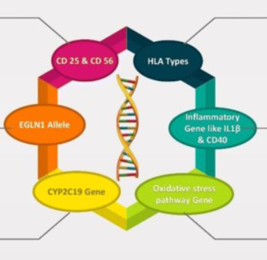 Genetics Icon